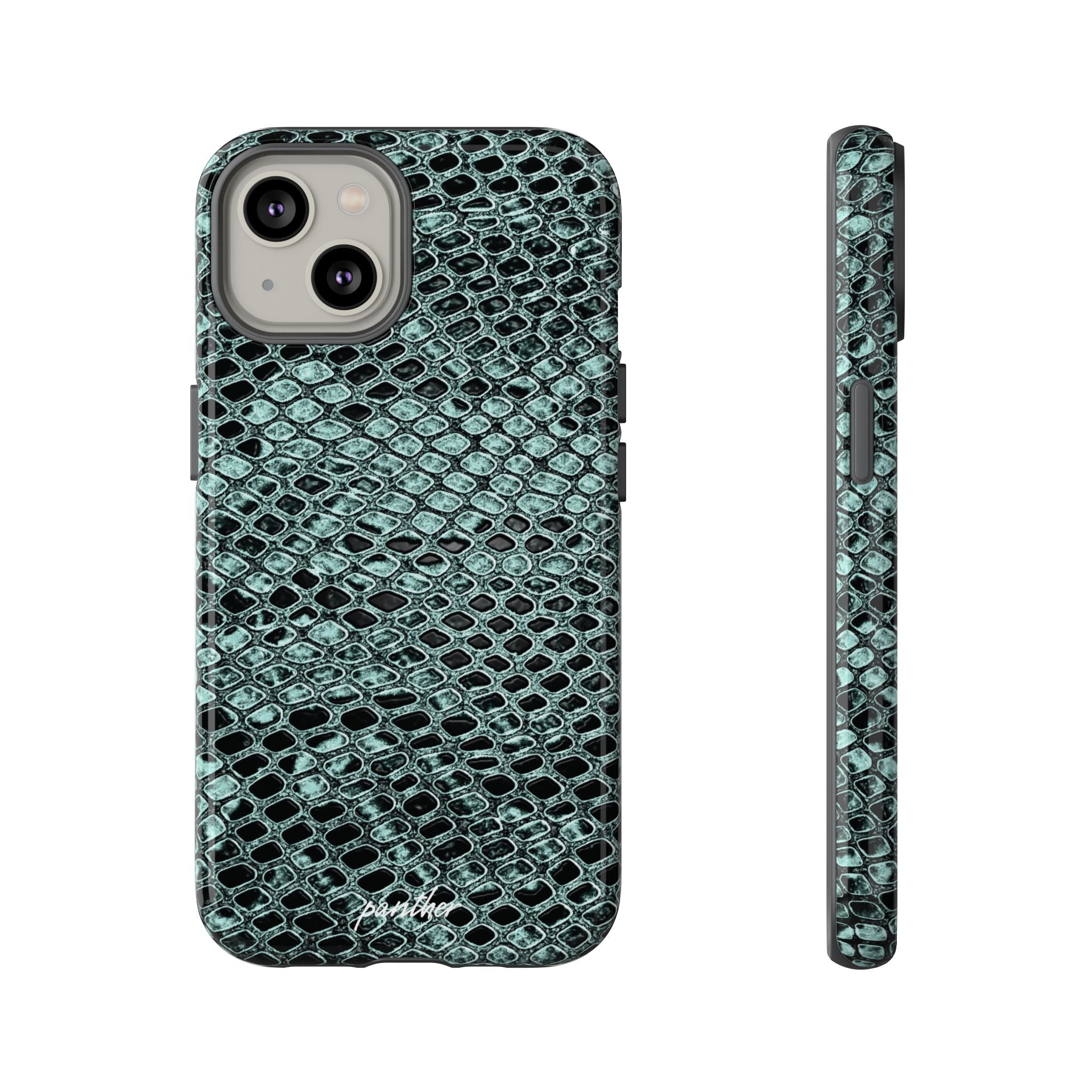 Python