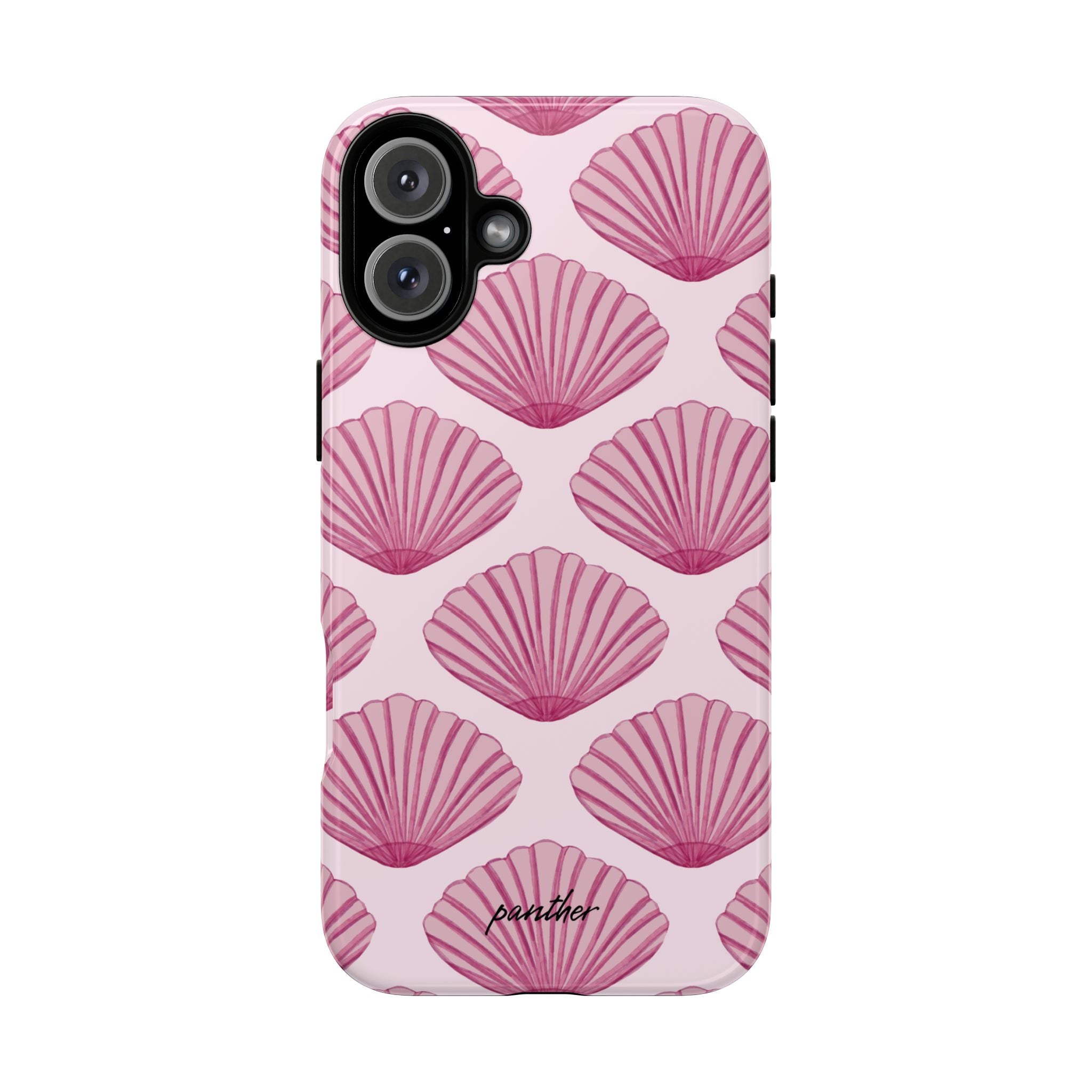Coastal Shells