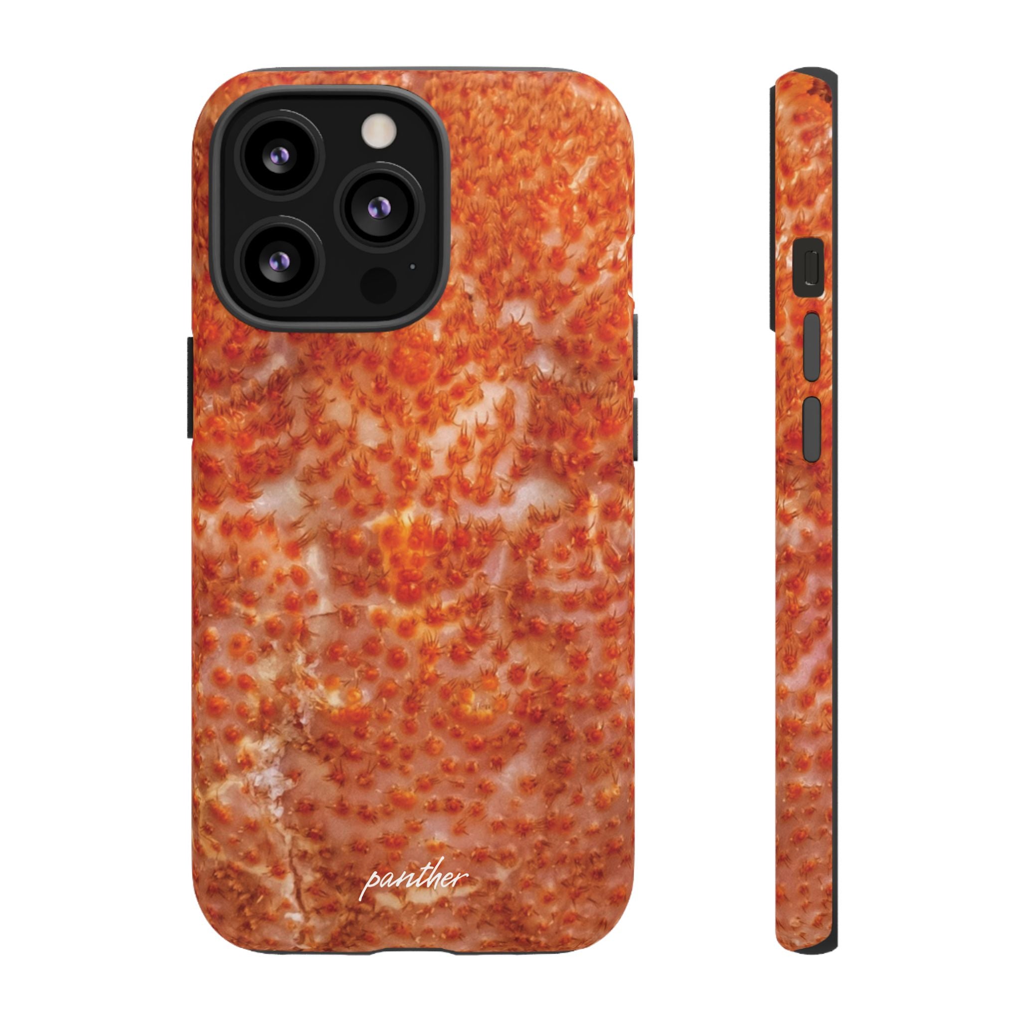 Reef