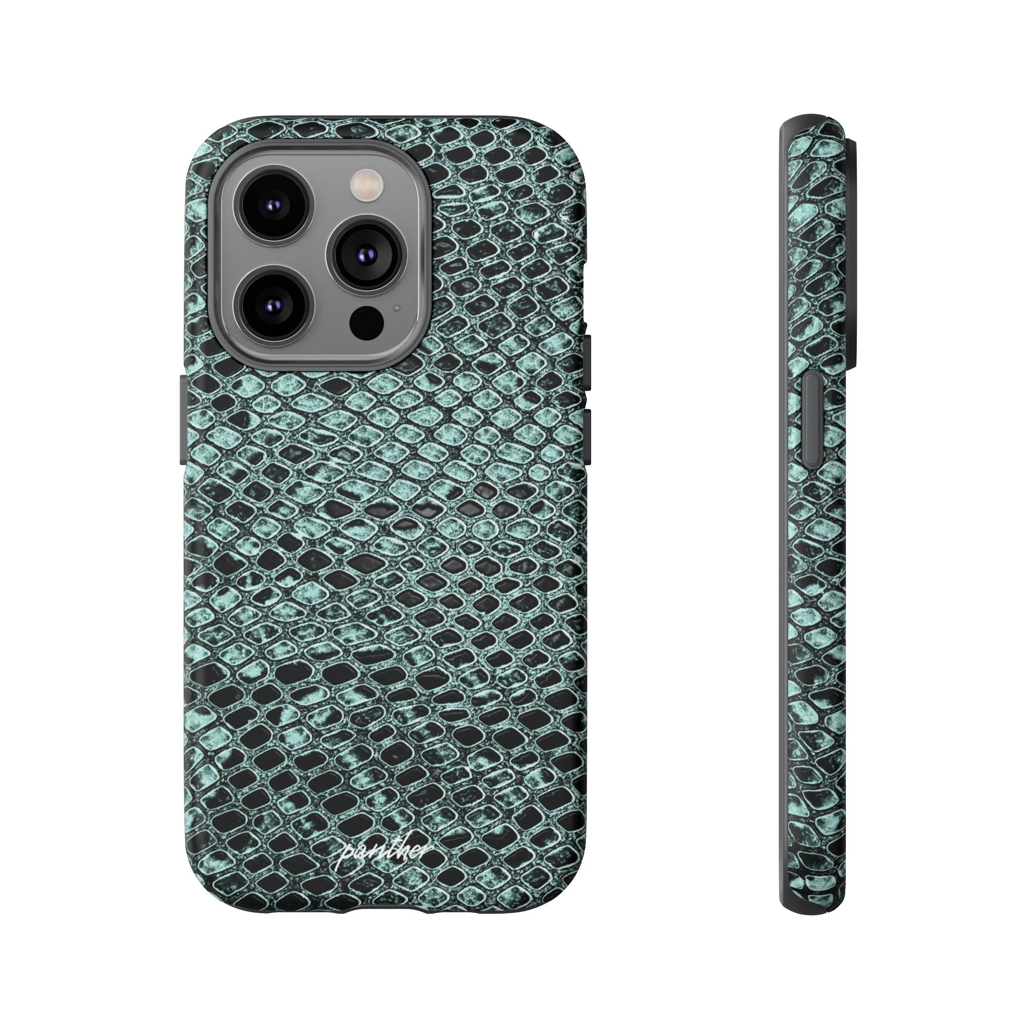 Python