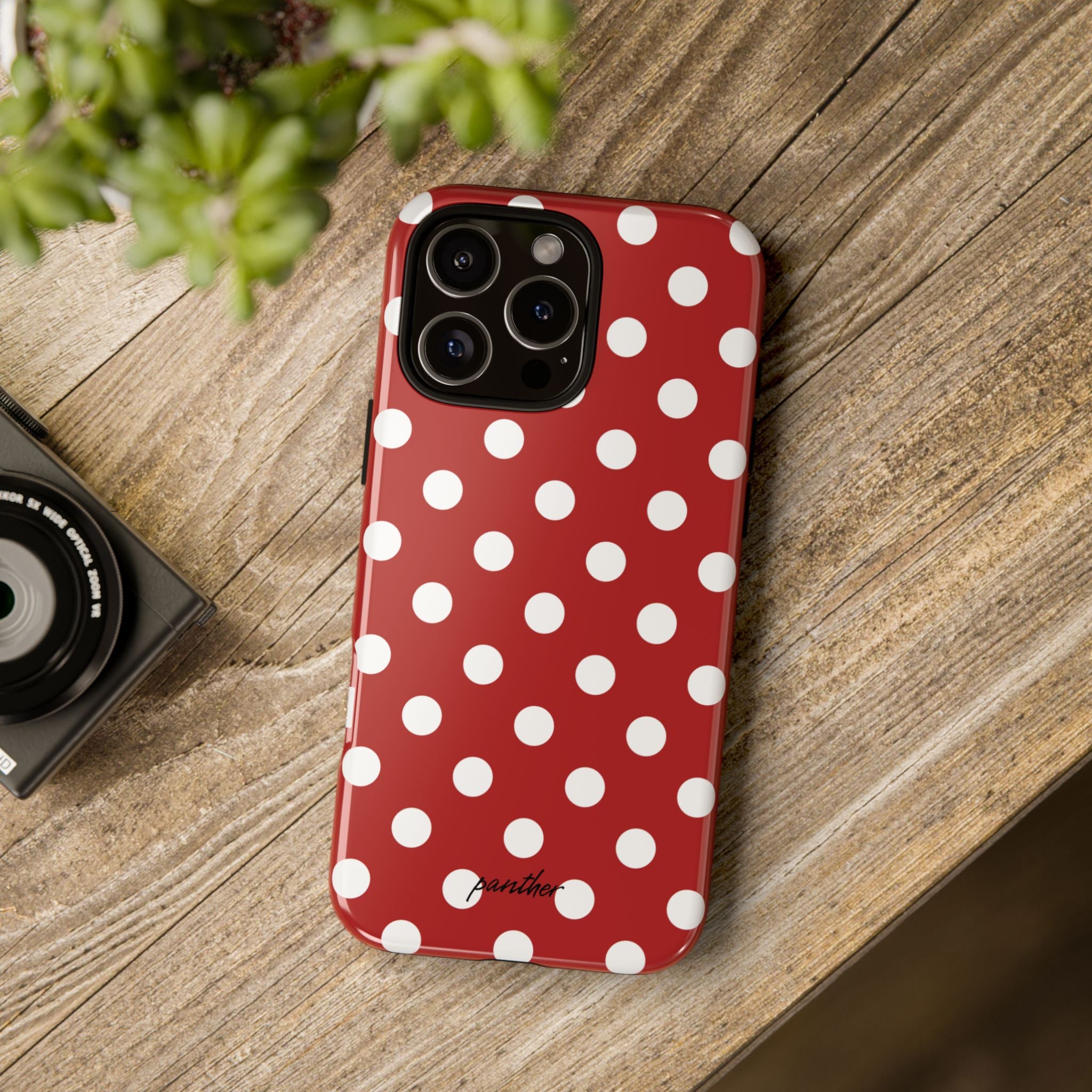 Ladybug V4