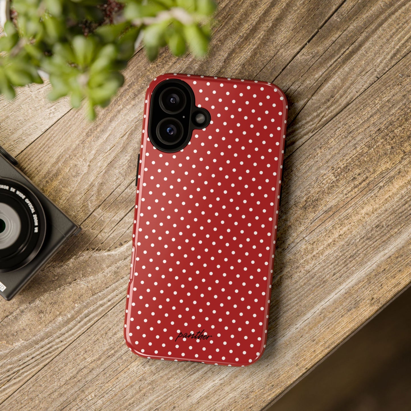 Ladybug V3
