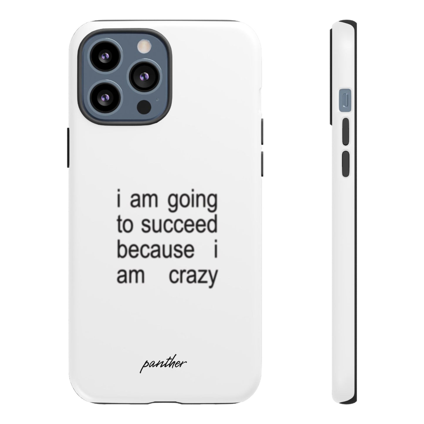 I Am Going To Succeed Because I Am Crazy