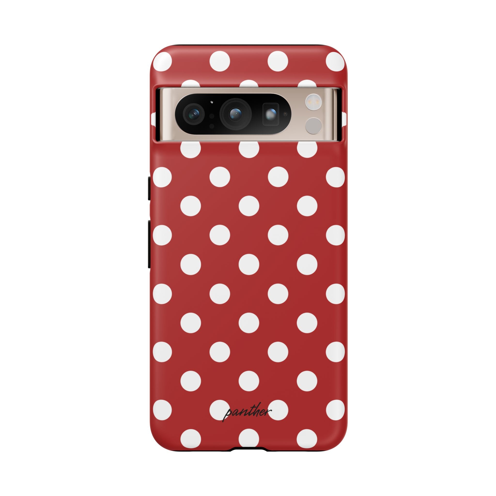Ladybug V4