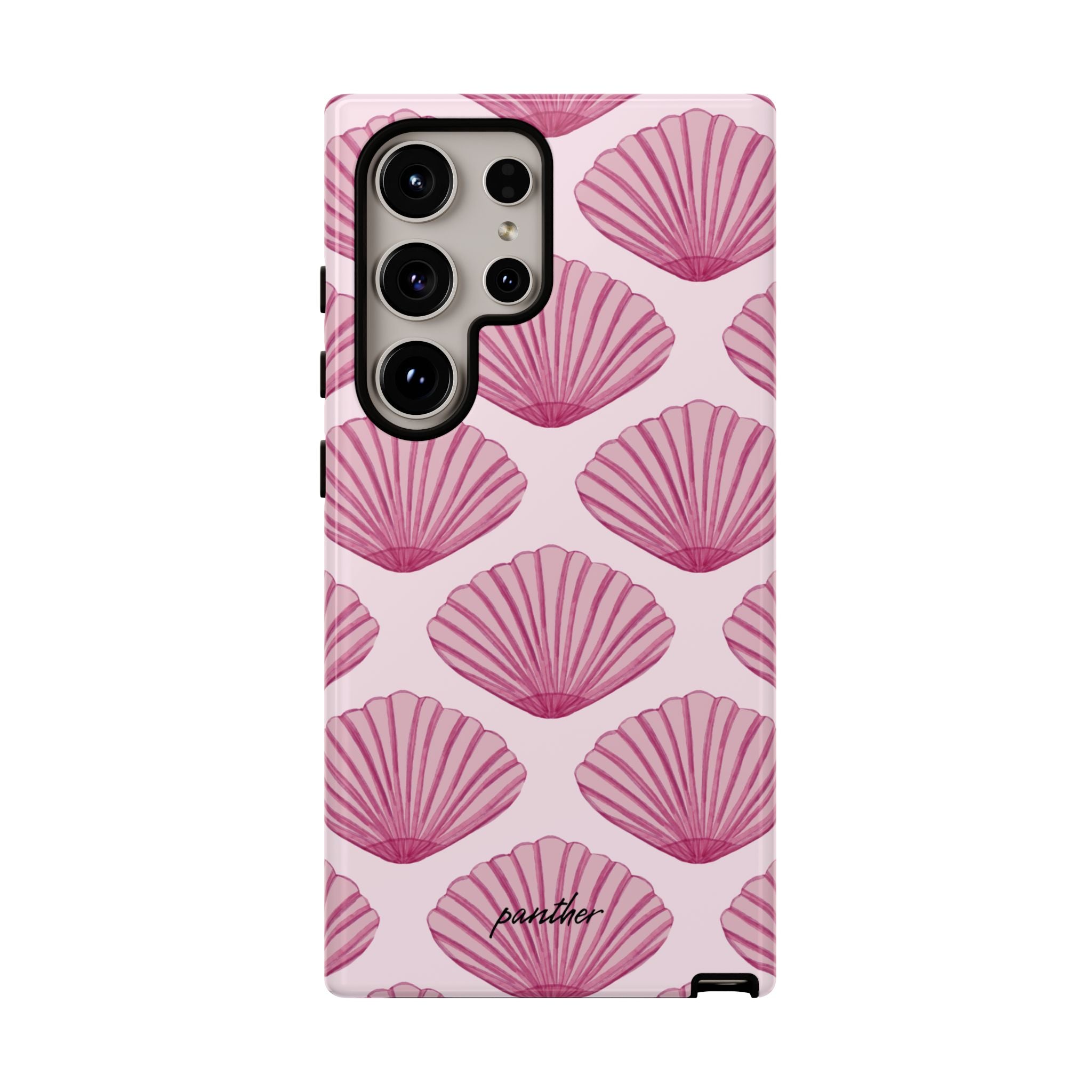 Coastal Shells