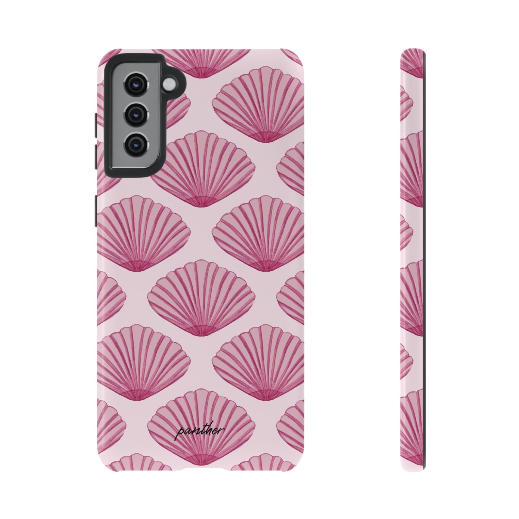 Coastal Shells