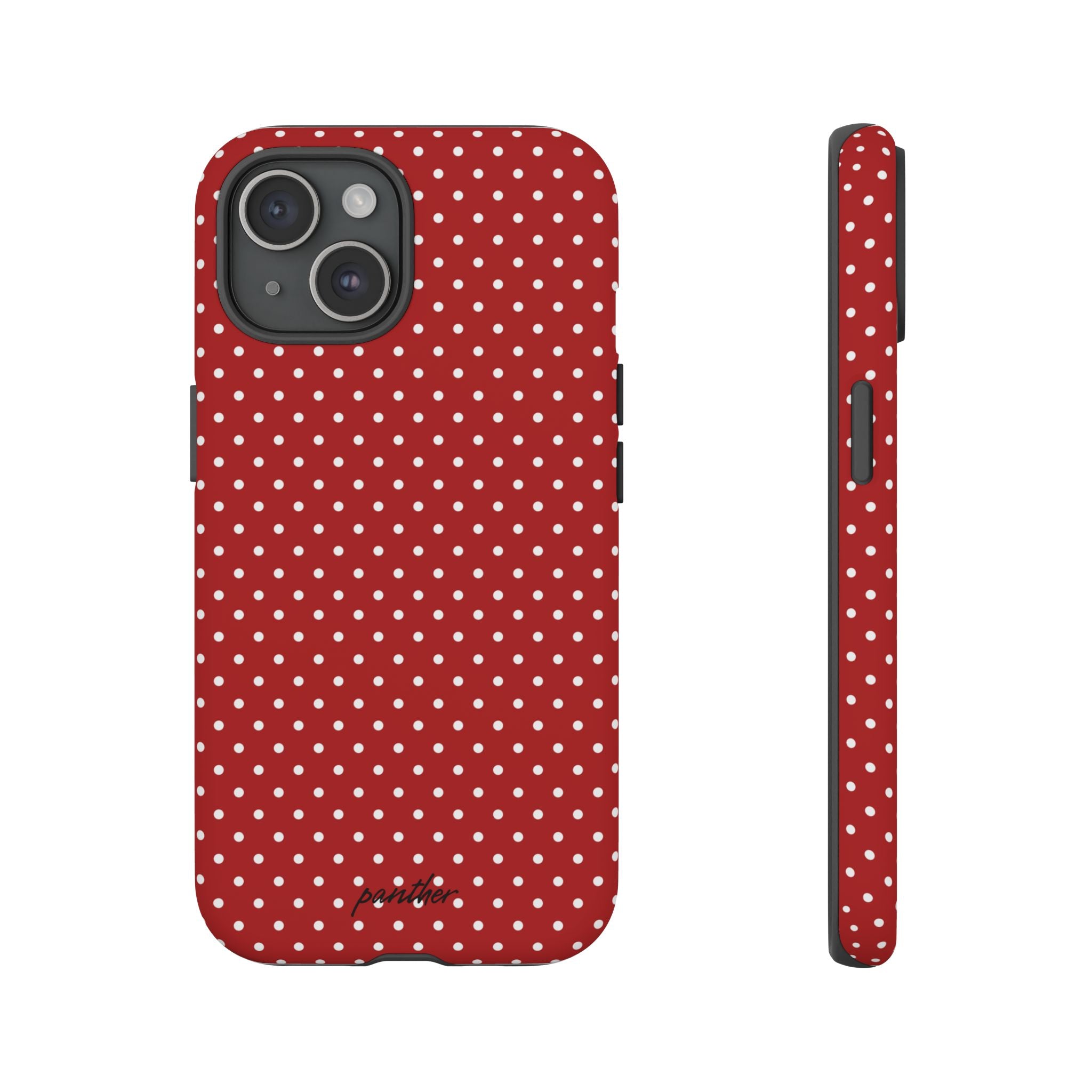 Ladybug V3