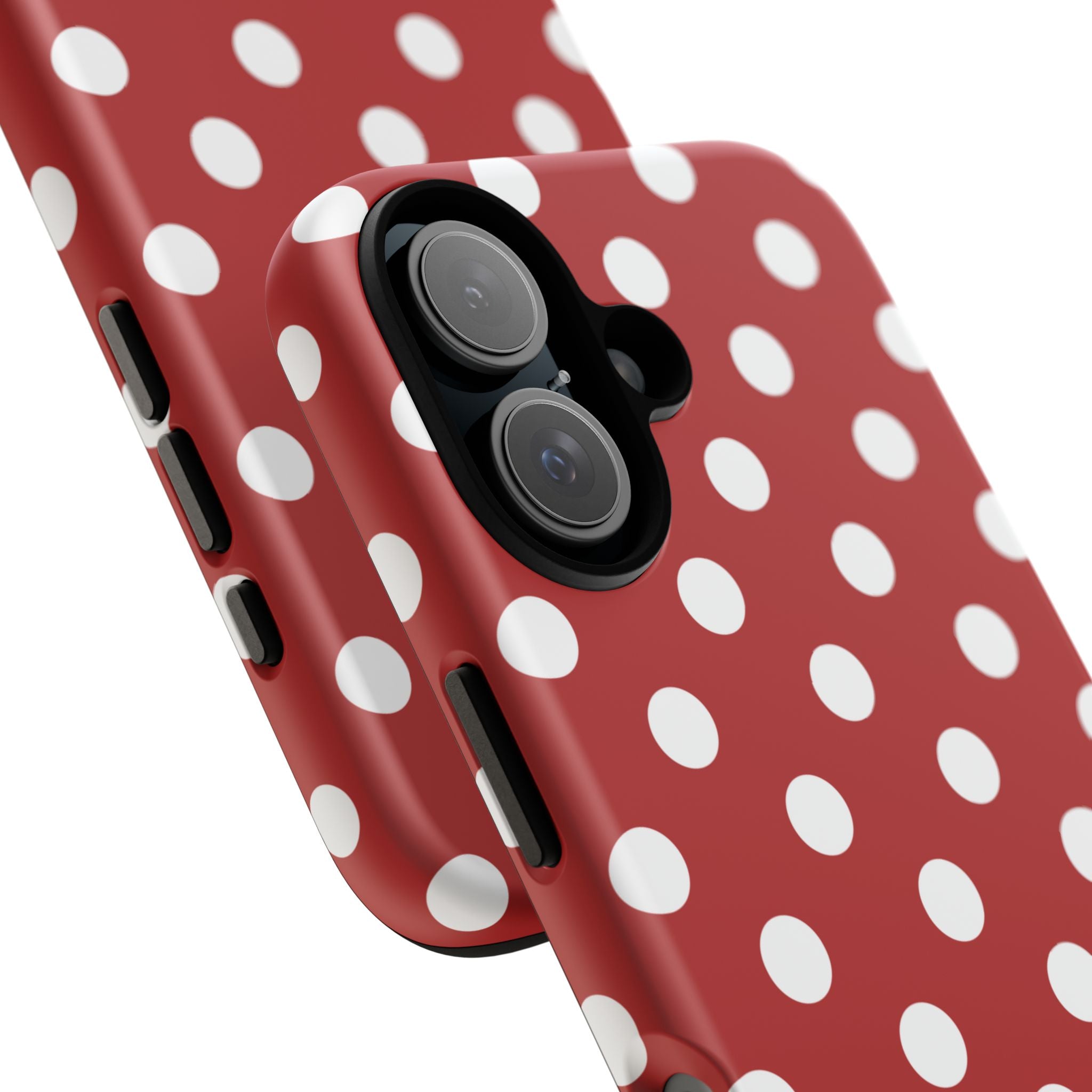 Ladybug V4