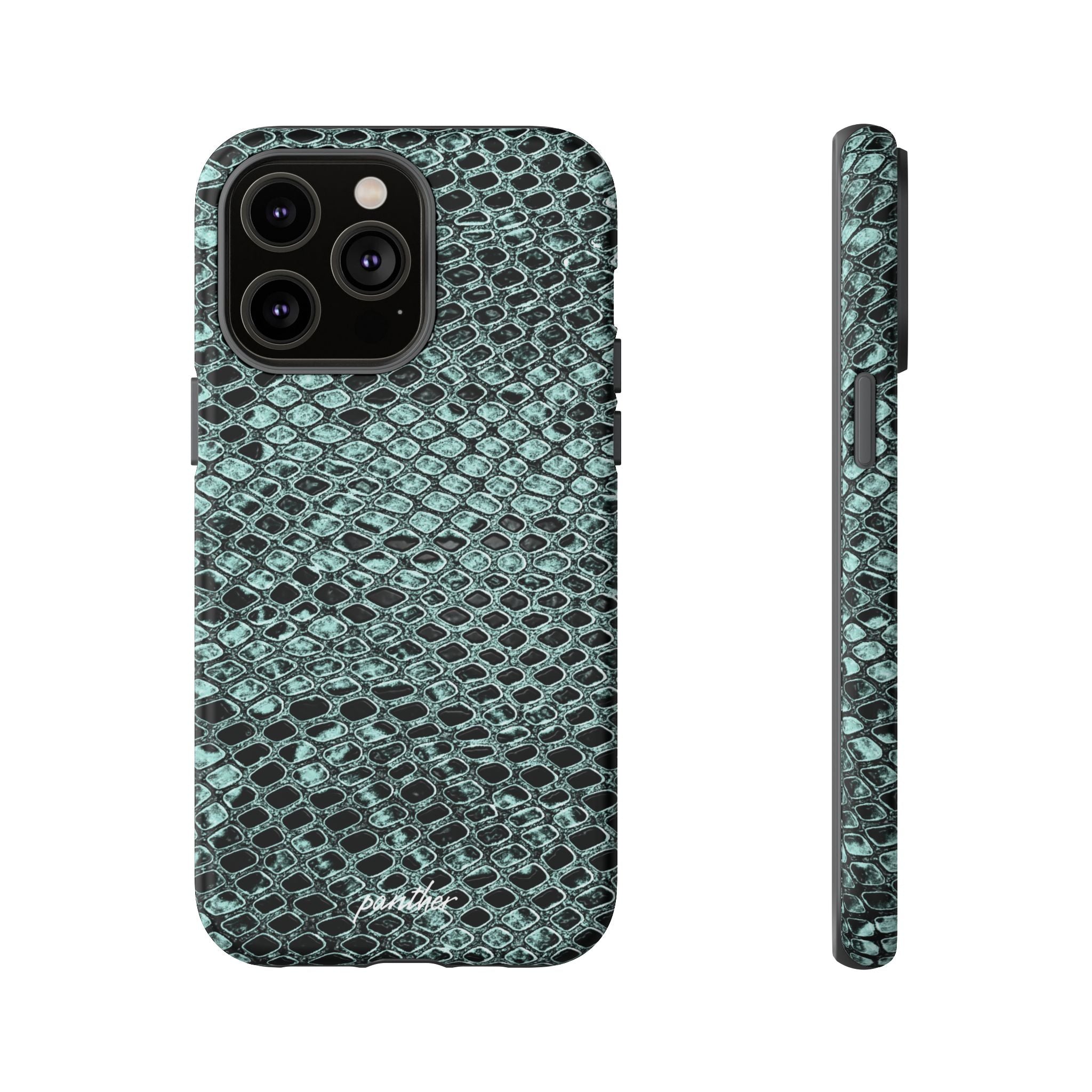 Python