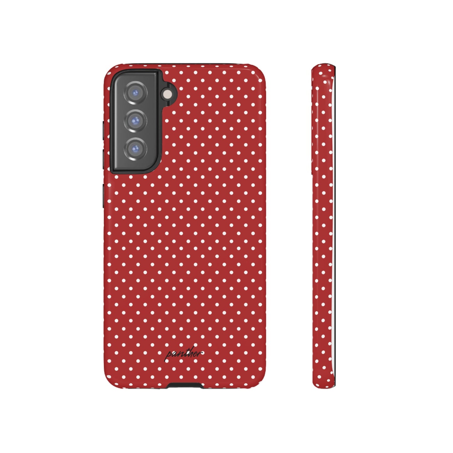 Ladybug V3