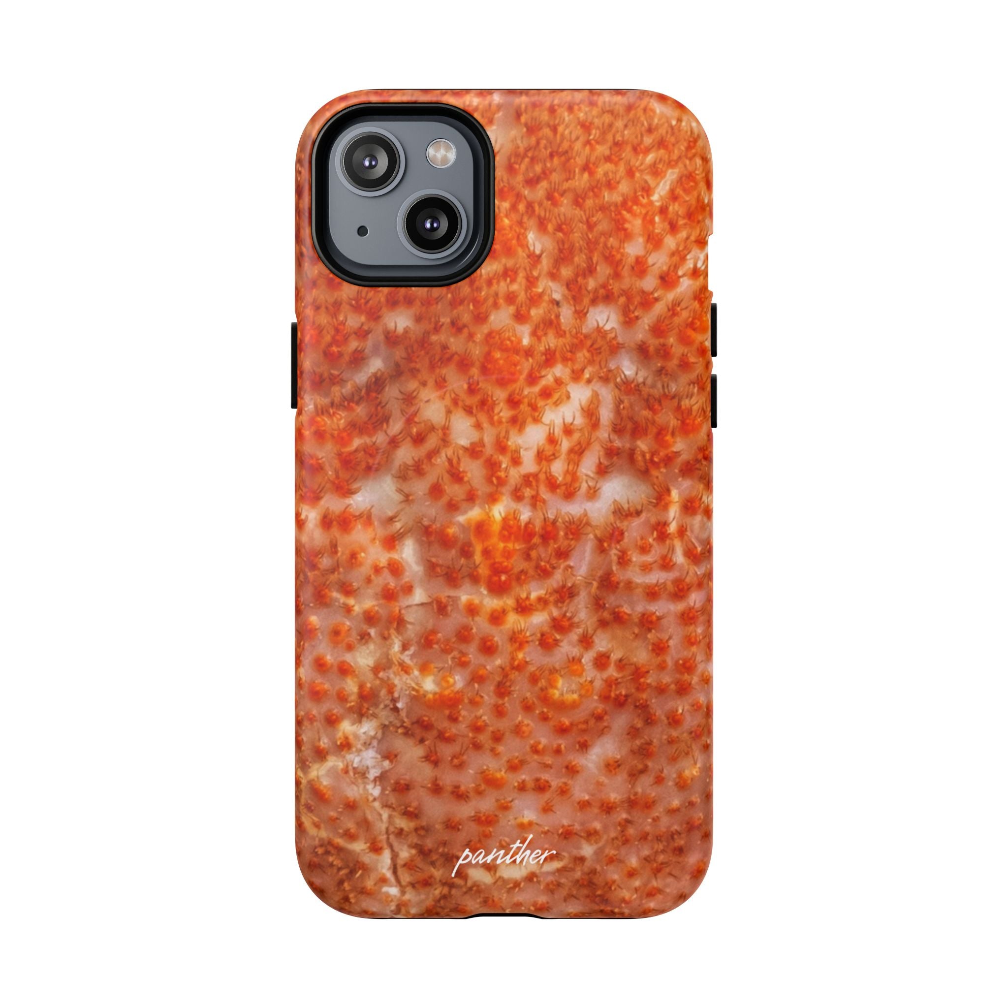 Reef (magsafe)