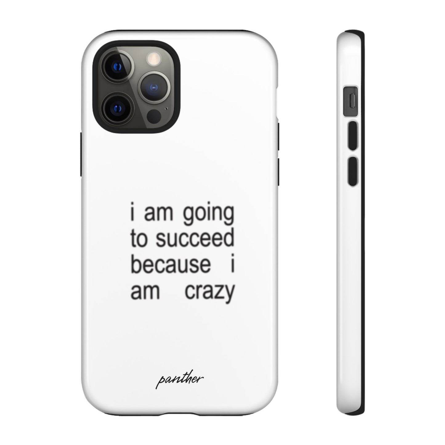 I Am Going To Succeed Because I Am Crazy