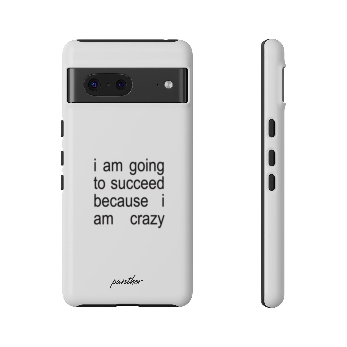 I Am Going To Succeed Because I Am Crazy