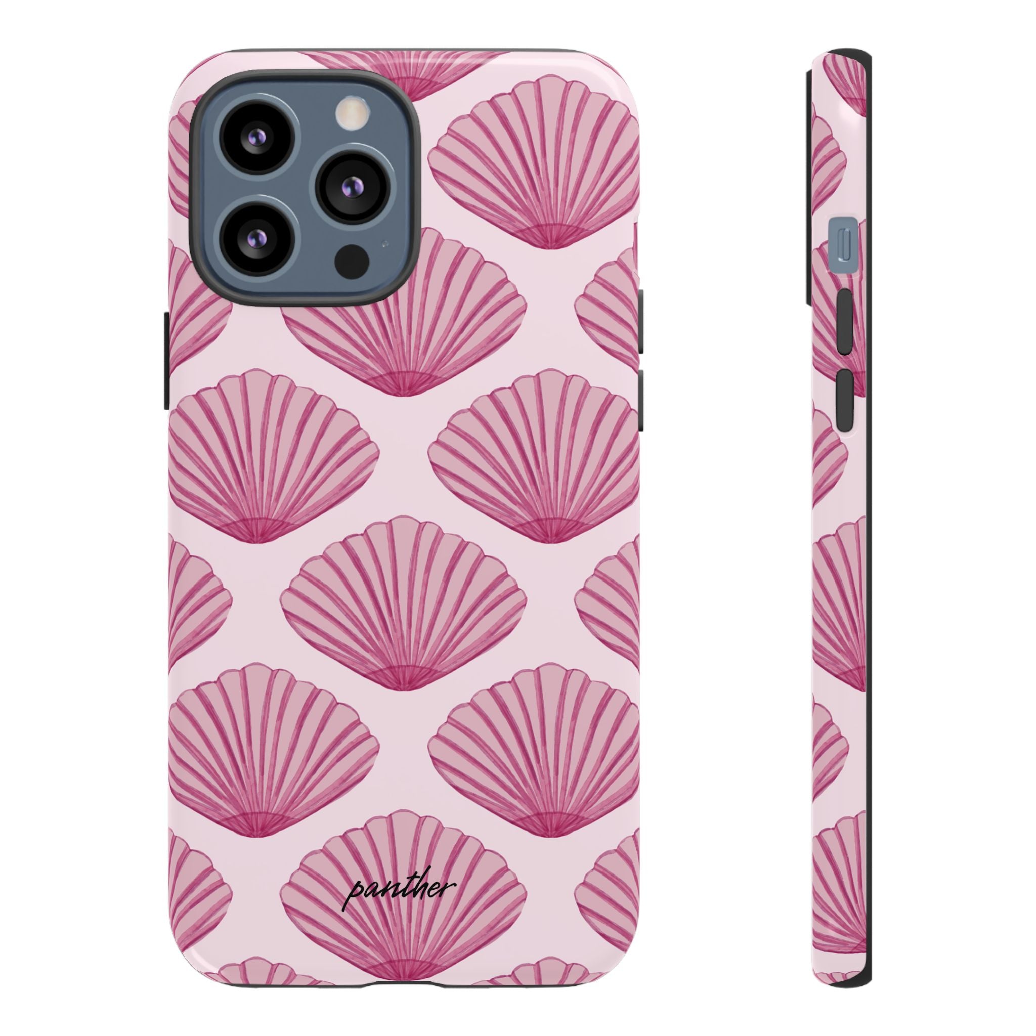 Coastal Shells