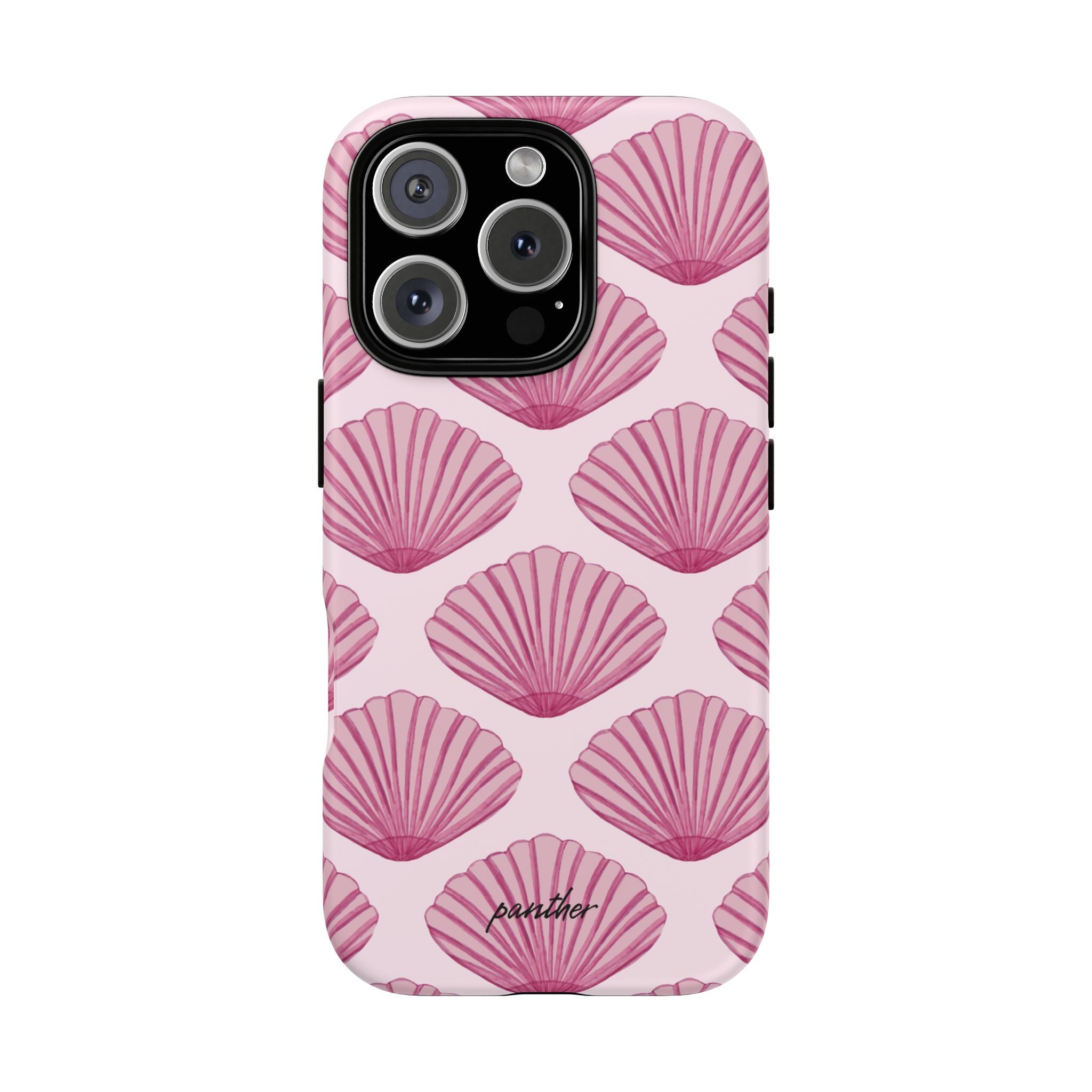 Coastal Shells