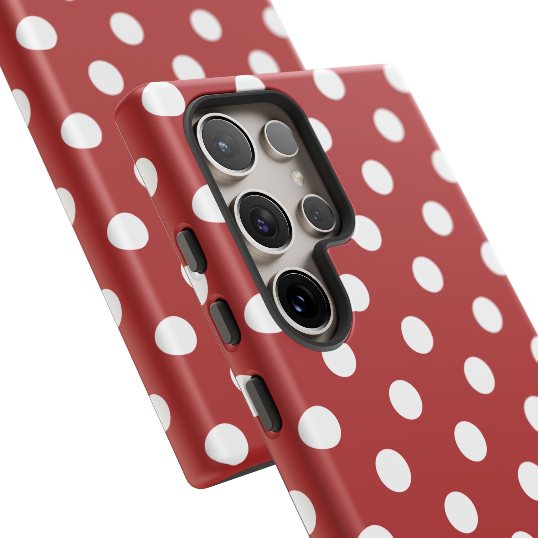 Ladybug V4