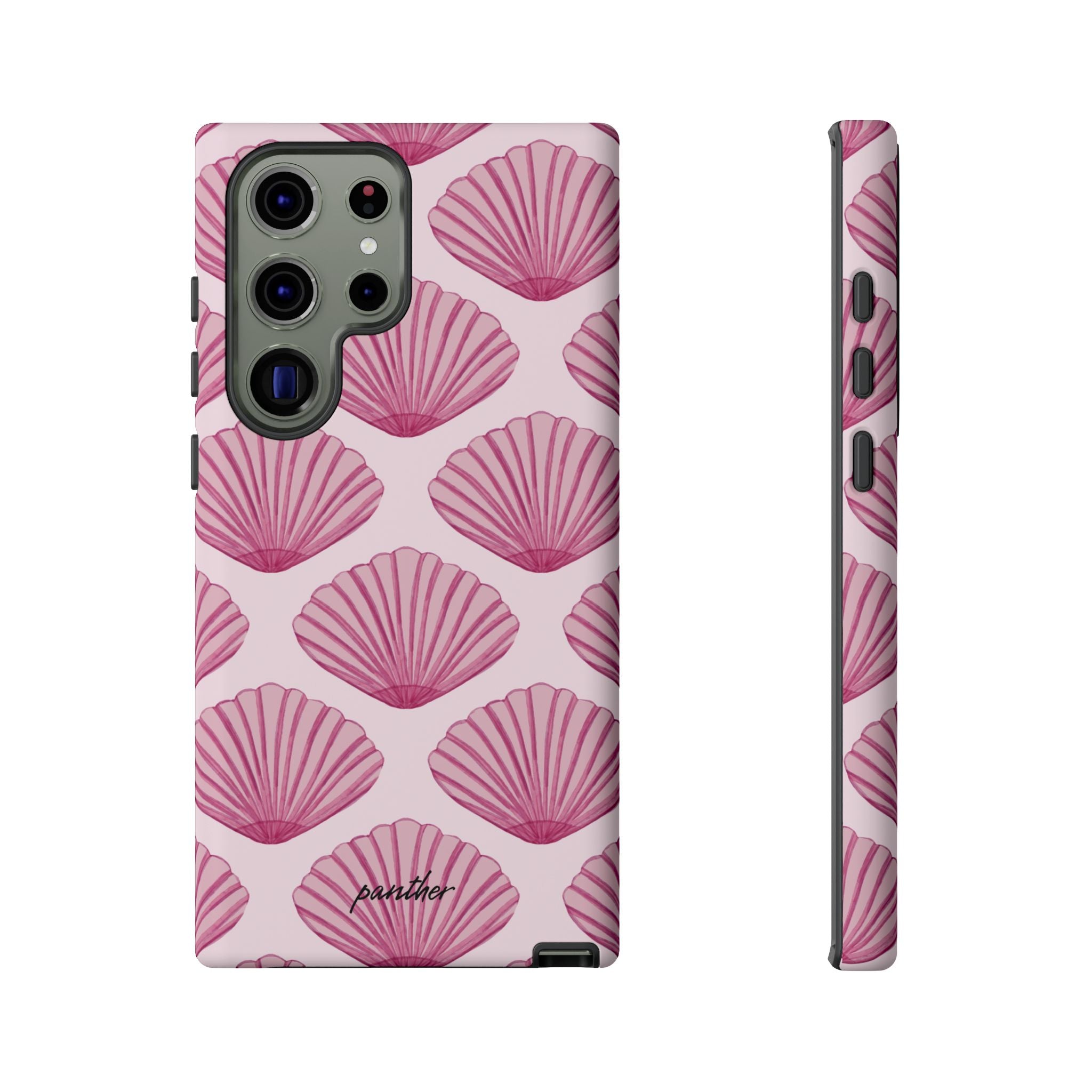 Coastal Shells