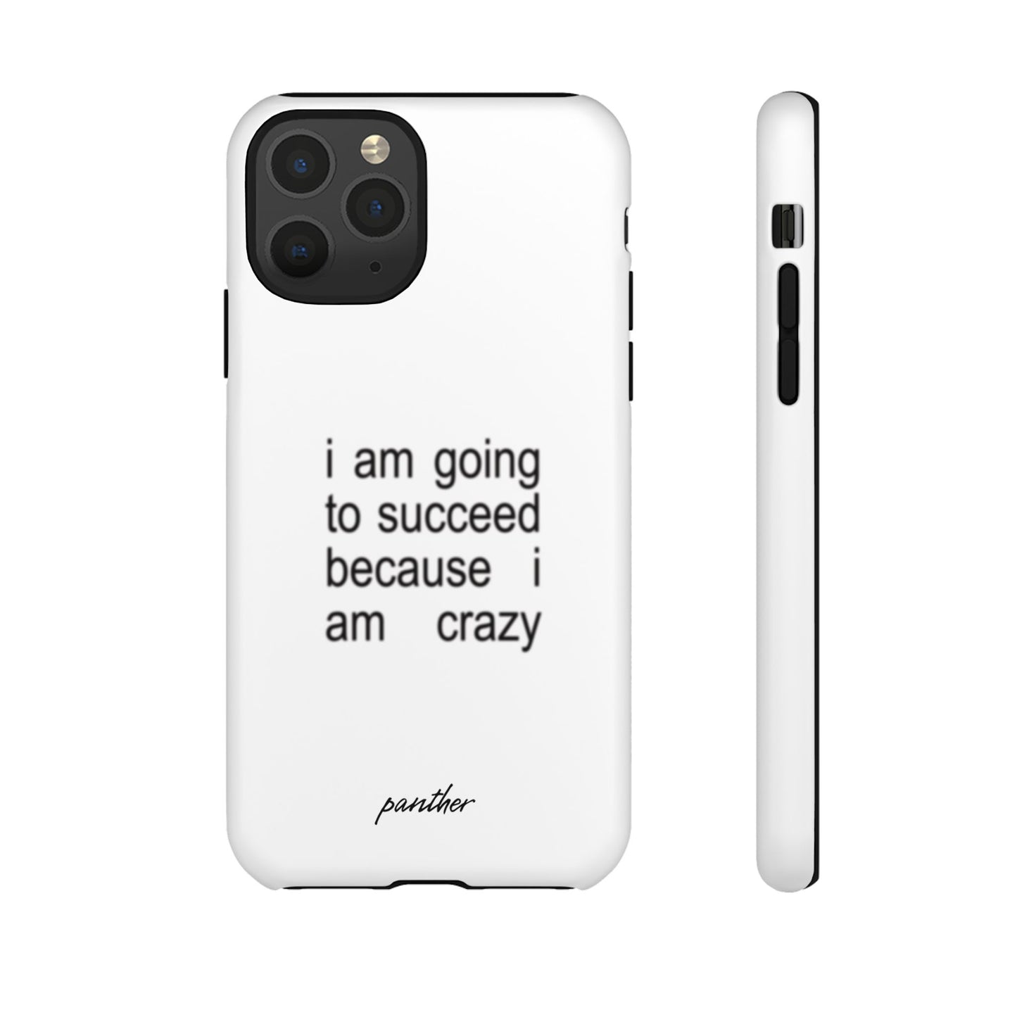 I Am Going To Succeed Because I Am Crazy