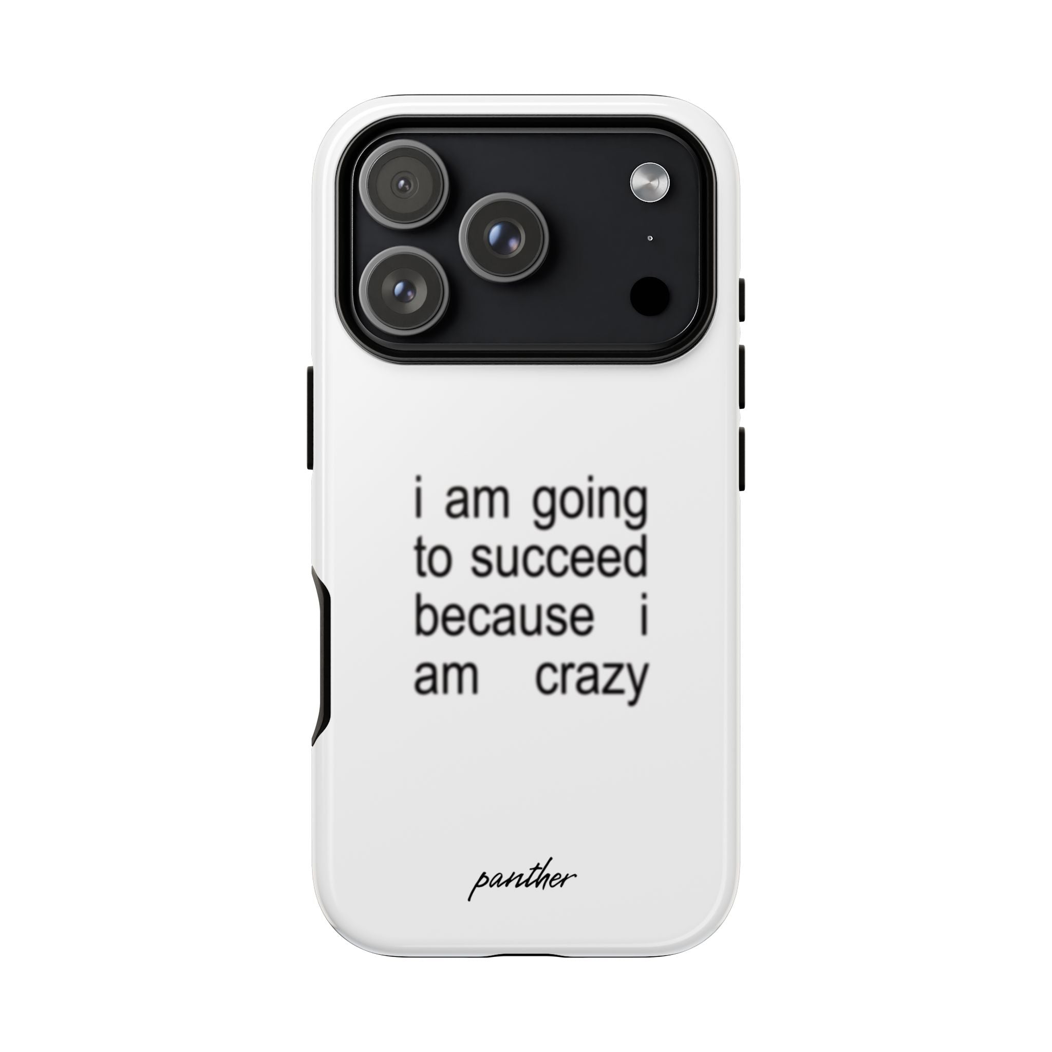 I Am Going To Succeed Because I Am Crazy