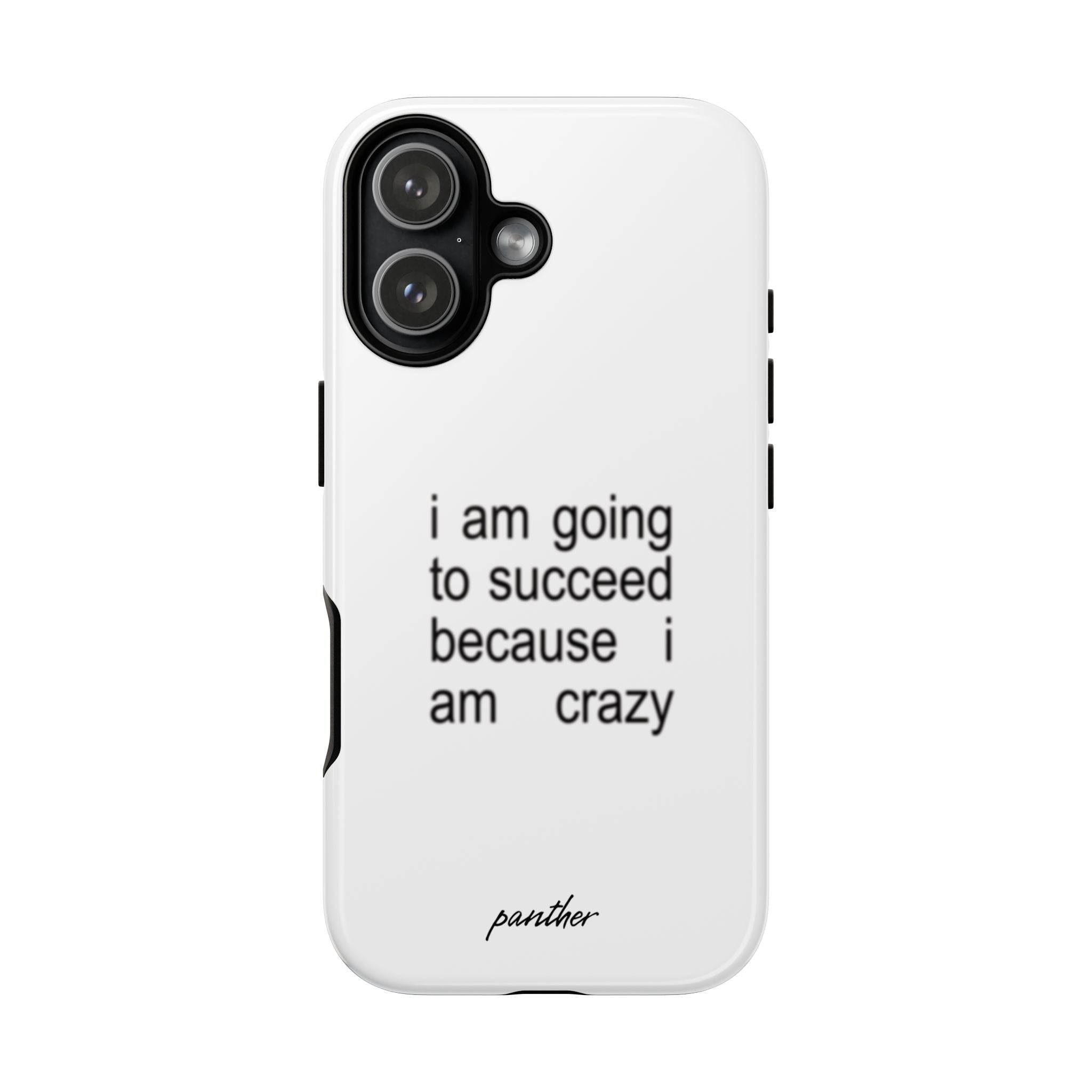 I Am Going To Succeed Because I Am Crazy