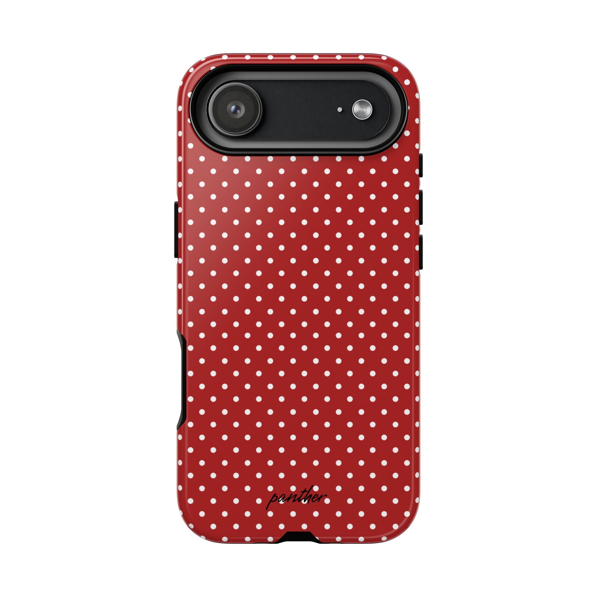 Ladybug V3