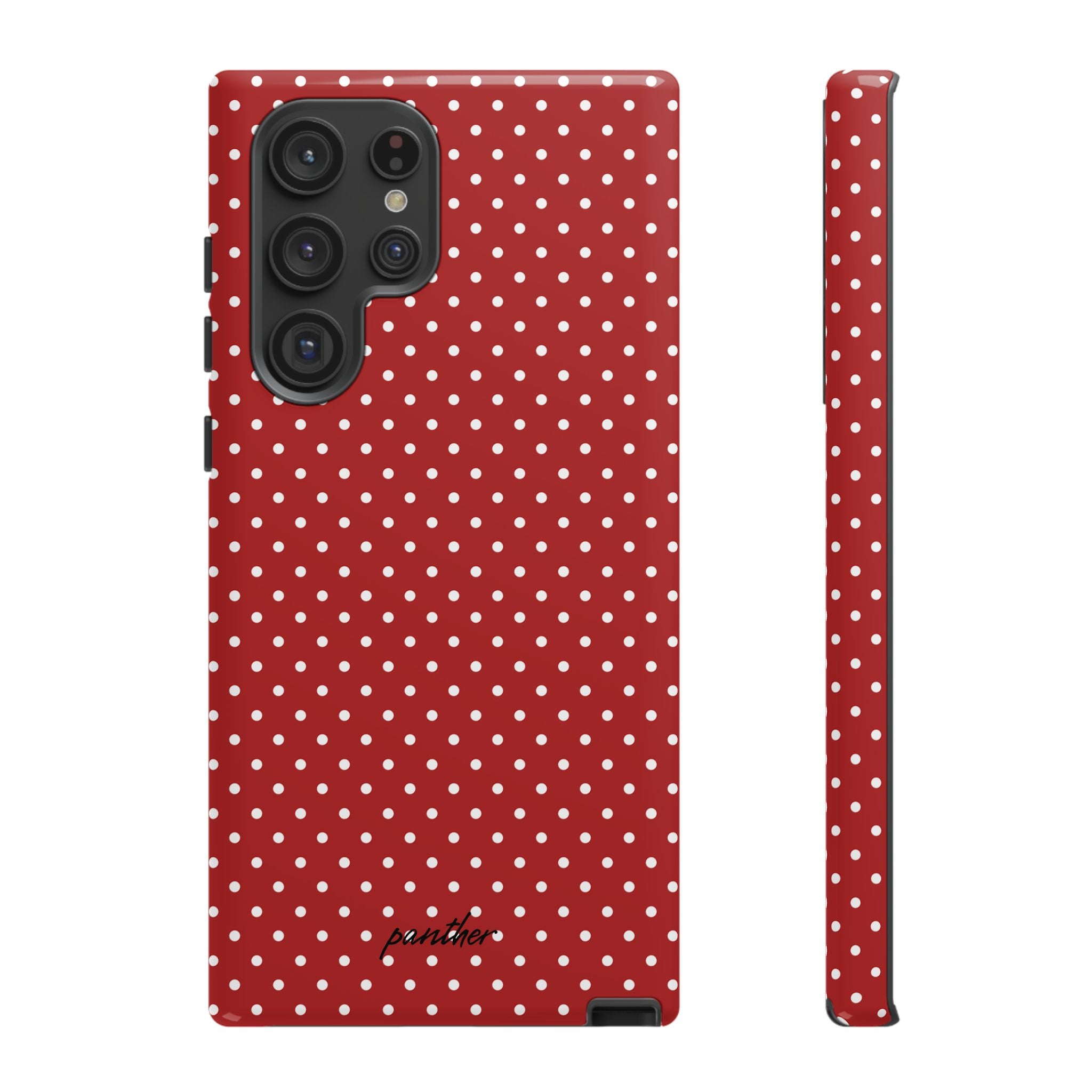 Ladybug V3