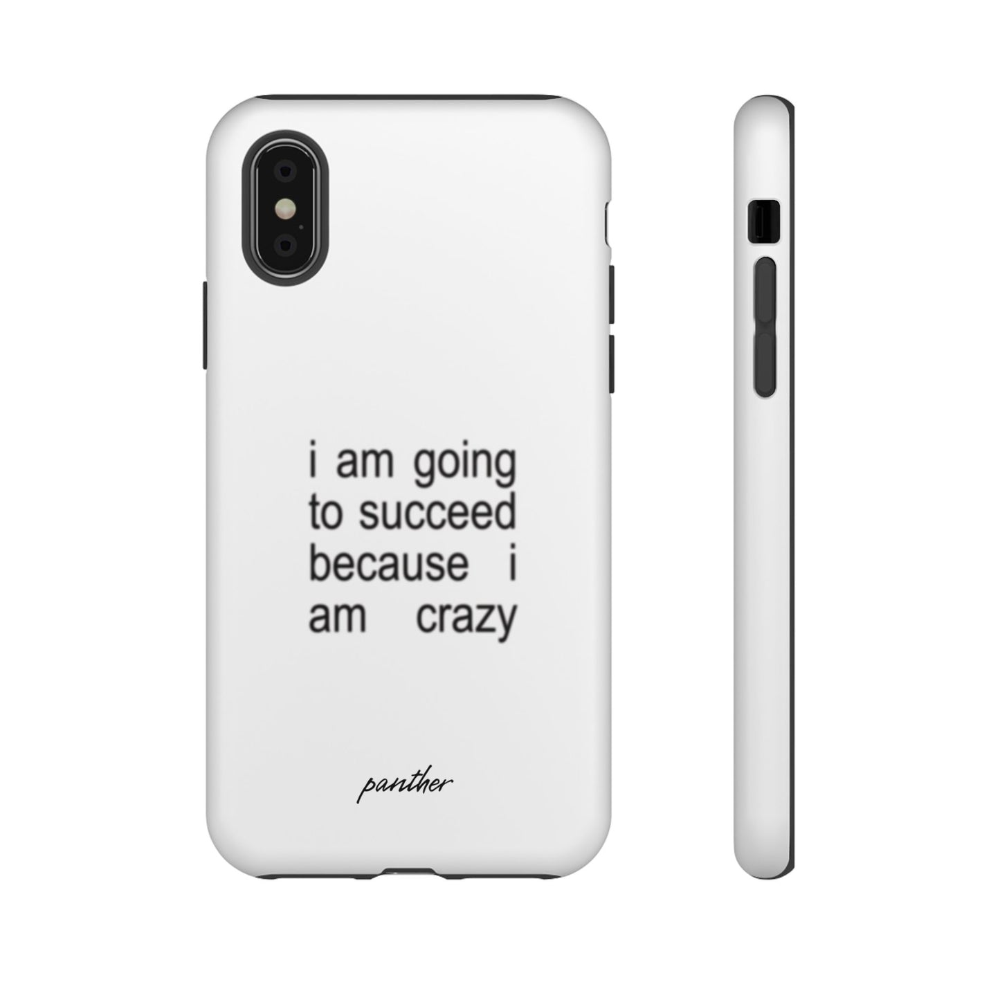 I Am Going To Succeed Because I Am Crazy
