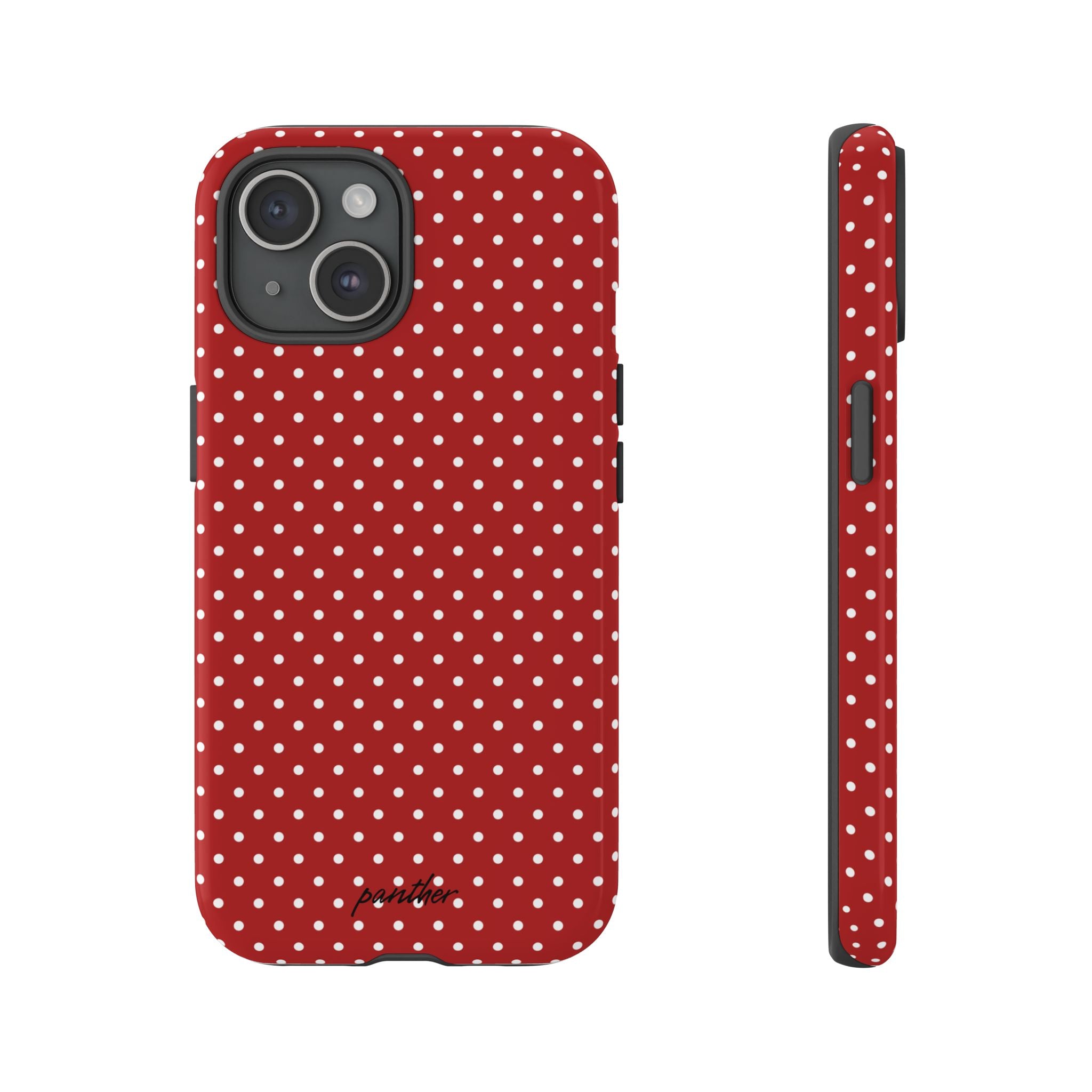 Ladybug V3