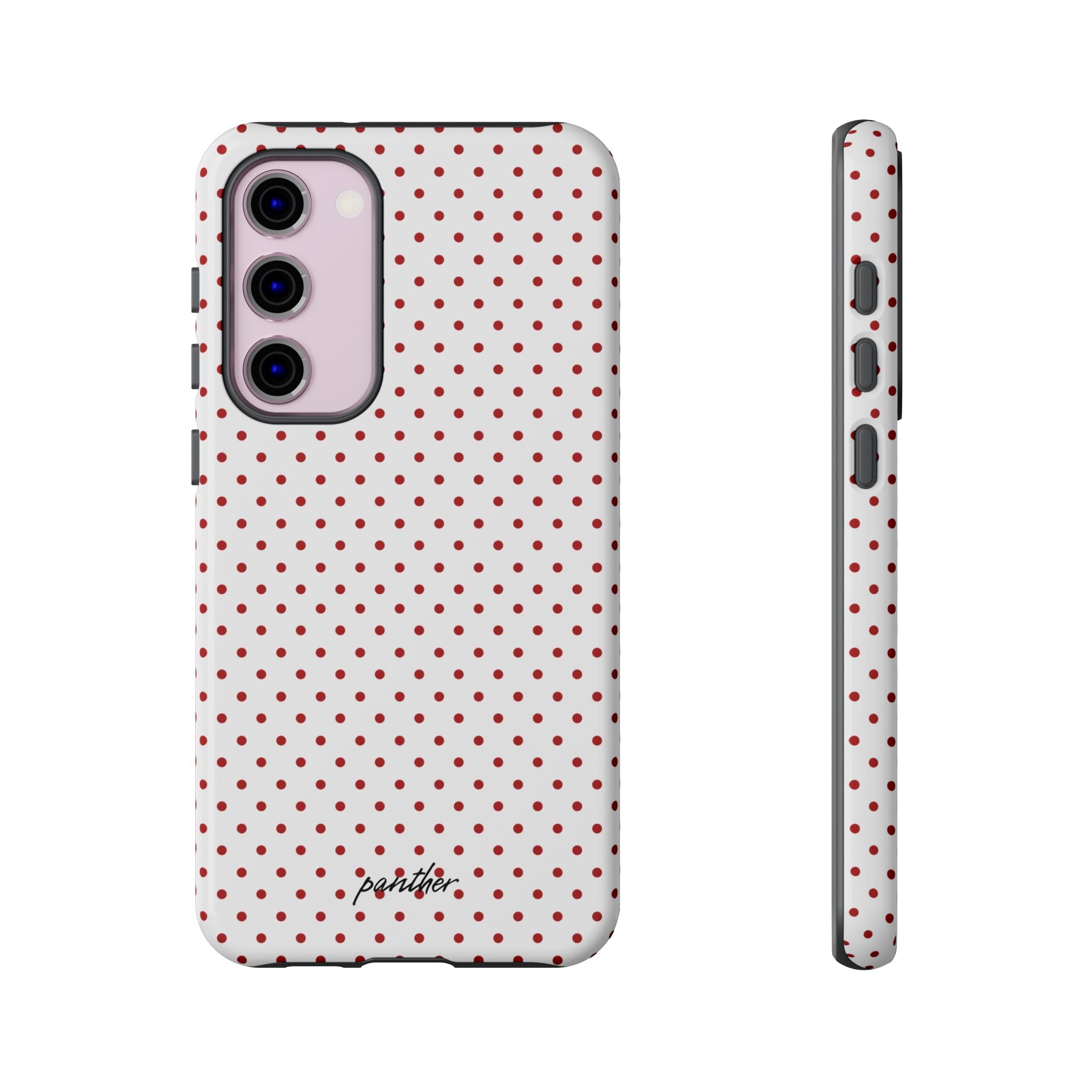 Ladybug V2