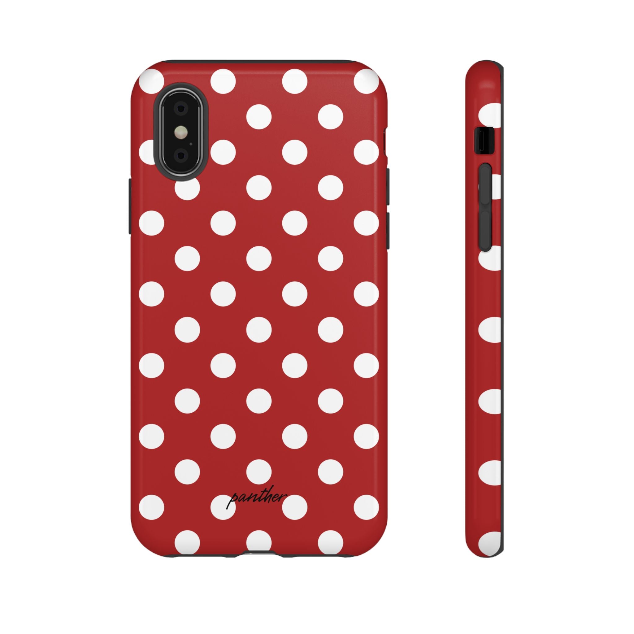 Ladybug V4