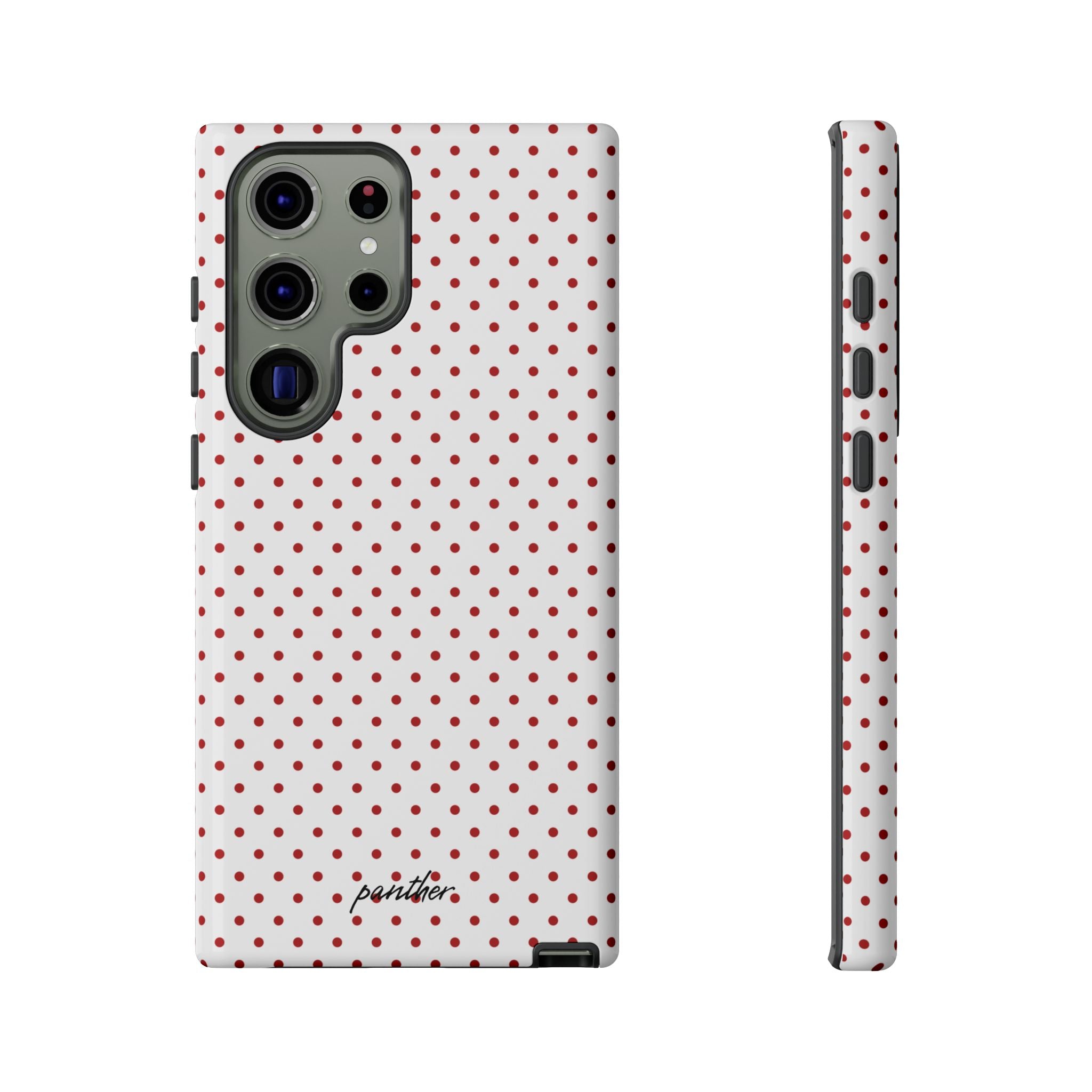 Ladybug V2