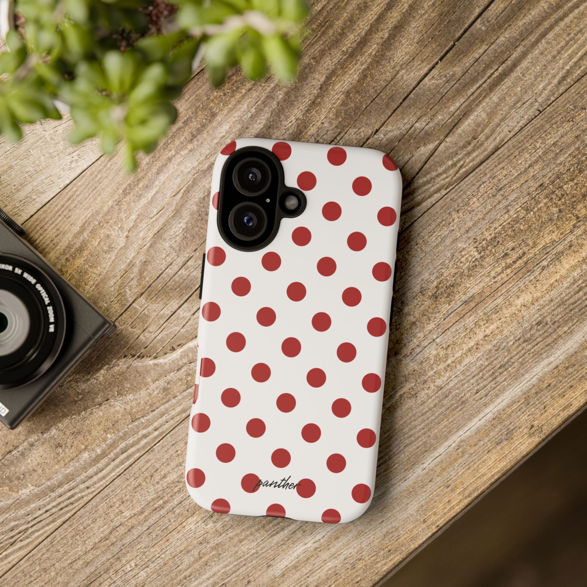 Ladybug